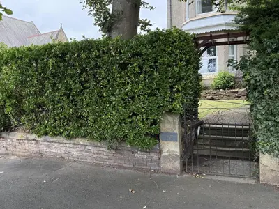 a large green hedge in front of a house at The Furness Haven in Barrow in Furness