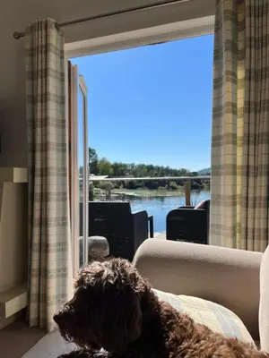 a dog sitting on a couch in front of a window at Gressingham 9 - South Lakes Leisure Village - lodge on the lake in Carnforth