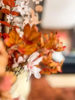 a close up of a flower with a bee on it at Stylish Loft Apartament - City Center L1 in Liverpool
