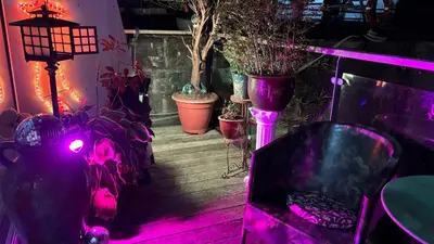 a room with purple lights and potted plants at Float uniquely on Liverpool Waterfront on our high end 8 berth Houseboat in Liverpool