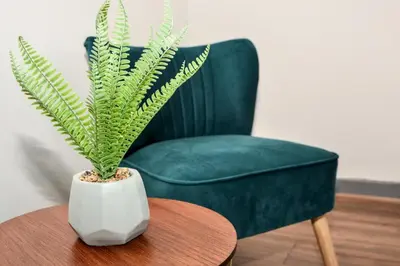 a plant in a white vase on a table next to a green chair at Stylish Retreat near Birkenhead & Liverpool Your Cozy Home Away From Home in Wallasey