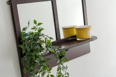 a plant sitting on a shelf next to a window at The Old Bike Shop Flat 2 in Heapey