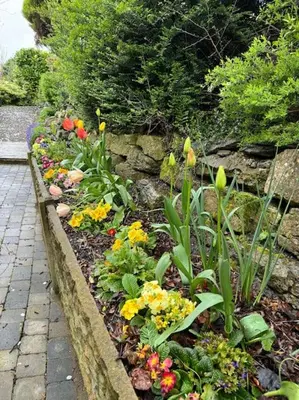 a garden with colorful flowers and a stone wall at Sunshine cottage in Horwich
