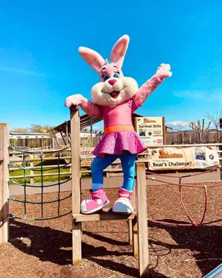 a person in a bunny costume standing on a fence at Mags den in Morecambe
