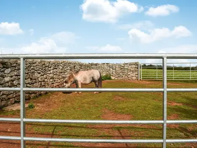 a horse standing in a field behind a fence at The Lodge Pod in Barrow in Furness