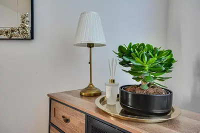 a lamp and a potted plant on top of a dresser at Stay With Alexandra 2 Free Parking - high speed Free Wifi close to stadiums in Liverpool