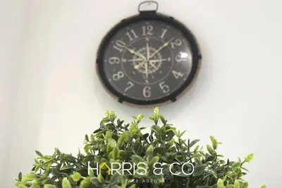 a clock hanging on a wall next to a plant at Kittiwake in Fleetwood