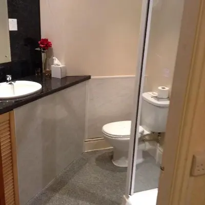 a bathroom with a toilet and a sink at The Fernroyd in Blackpool