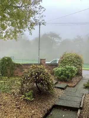 a garden with two bushes and a fence and a car at Lorton Villa with a Log Burner in Saint Helens