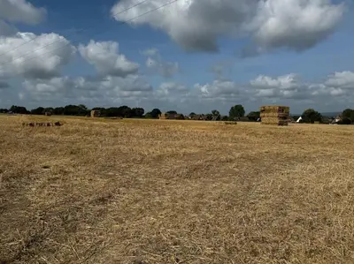 an open field with some animals in a field at The Retreat in Eccleston