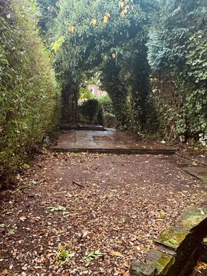a dirt path with trees and leaves on it at Ormskirk lets in Ormskirk