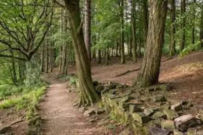 a path in a forest with trees and a stone wall at Cheerful 2 bedroom town house in Lancashire in Chorley