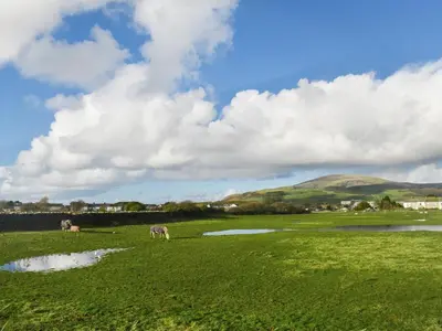 two horses grazing in a field next to a body of water at Cookies Corner in Millom