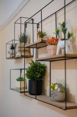 a shelf filled with potted plants on a wall at Silvester Residence in Liverpool