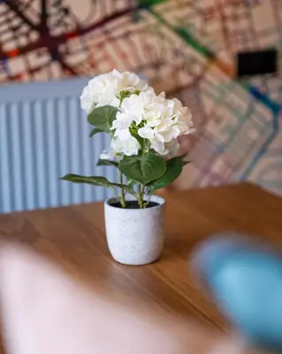 a white flower in a white vase on a table at City centre two bedroom apartment in the heart of Liverpool in Liverpool