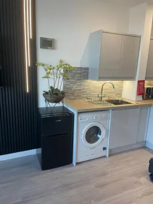 a kitchen with a washing machine and a sink at Sunbeam House 2 Morecambe Accessible in Morecambe