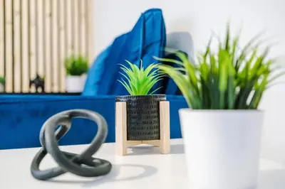 a metal chain and two potted plants on a table at Beautiful Home In Bolton in Bolton