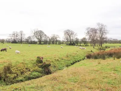 a herd of sheep grazing in a field at Apple Tree Cottage in Preston