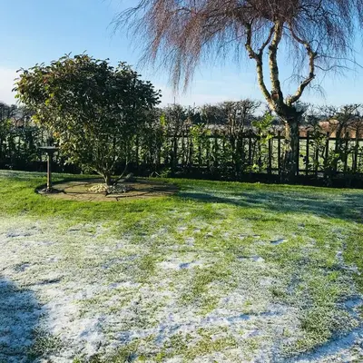 a field of grass with a tree and a fence at Sefton Cottage in Ormskirk