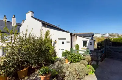 a white house with potted plants in front of it at Spacious & relaxing cottage stay with free parking in Cark