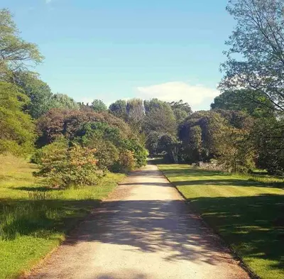 a dirt road with trees on both sides at Spacious & relaxing cottage stay with free parking in Cark