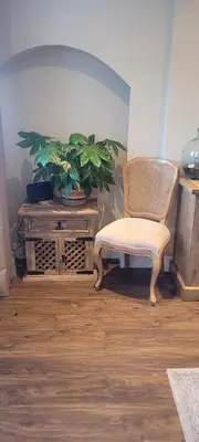 a chair and a potted plant in a room at Mill Cottage in Clitheroe