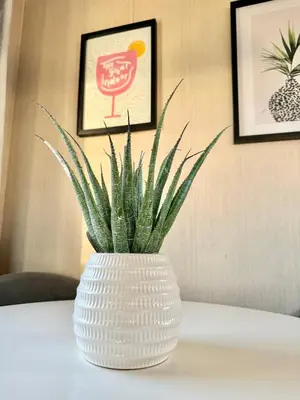 a white vase with a plant in it on a table at Miarlo Lodge Derwent Haven Lakeland in Grange Over Sands