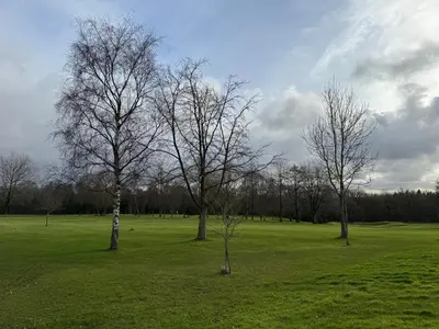 a group of trees in a field of grass at Modern, sleeps 5, parking, semi rural, Upholland in Upholland