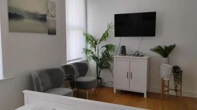 a living room with two chairs and a flat screen tv at Charming six bedroom townhouse citystay close to city centre in Liverpool