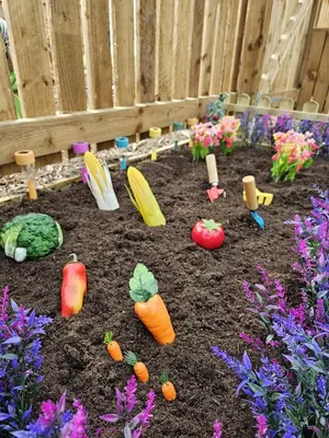 a garden with carrots and vegetables in the dirt at The Garden in Hambleton