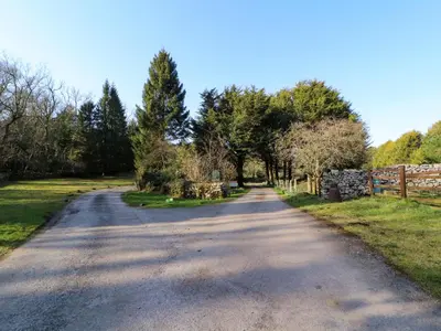 an empty road with trees on both sides at Lodge 2 in Carnforth