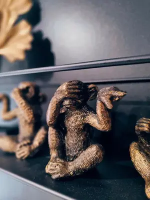a group of toy frogs sitting on a table at North View in Blackpool