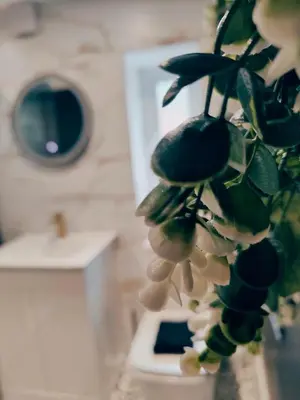 a plant with white flowers in a bathroom at North View in Blackpool