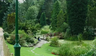 a garden with a wooden bridge and a green pole at Full Apartment with secure parking great views in Preston