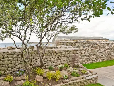 a stone wall with a tree in front of it at Keer Cottage in Carnforth