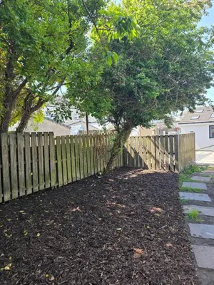 a tree in a yard next to a fence at Foundry View in Millom