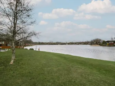 a tree in the grass next to a body of water at Gressingham View Lodge in Carnforth