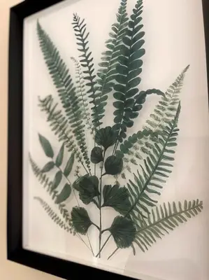 a picture of a green plant in a picture frame at City Centre 2BR Apartment, Free Parking! in Liverpool