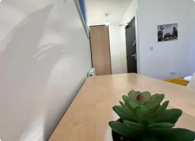 a plant sitting on a wooden table in a room at Room 5 Shared House in L6 in Liverpool