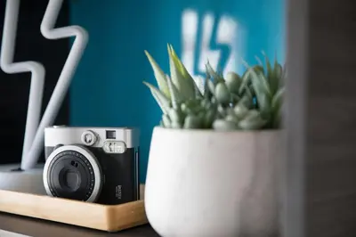 a camera and a potted plant on a table at Prospect Point in Liverpool in Liverpool