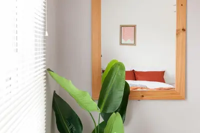 a mirror and a plant in a room at CLOSe in Liverpool