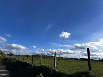 a fence in a field with cows in the distance at Cottage style flat in Oswaldtwistle