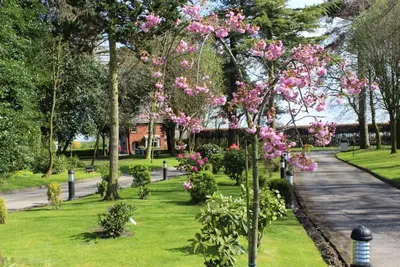 a park with pink flowers in the grass at Briars Hall Hotel in Burscough