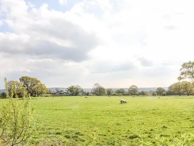 a field of green grass with animals in the distance at Stoneycross Cottage in Preston