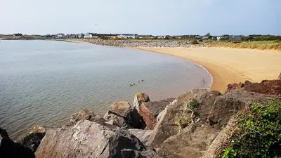 a group of ducks swimming in the water next to a beach at Willow Cottage Haverigg Millom in Haverigg