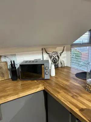 a microwave on a counter with a picture of a buffalo at Sunny St Annes Apartment in Lytham St Annes