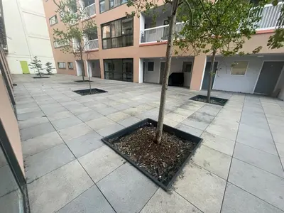a tree in a courtyard in front of a building at 2 bed apartment Liverpool city centre in Liverpool