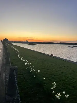 a line of flowers on the side of a body of water at Alices House in Fleetwood