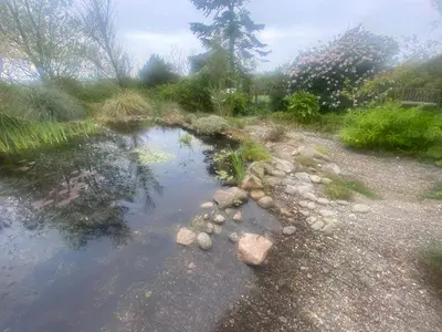 a small pond with rocks in a garden at Contemporary House with a Woodland Setting in Skelmersdale