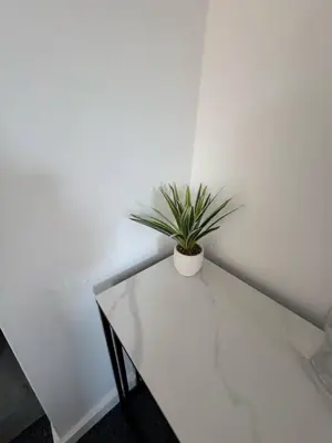 a white table with a plant on top of it at Homely stay Bootle Liverpool in Litherland